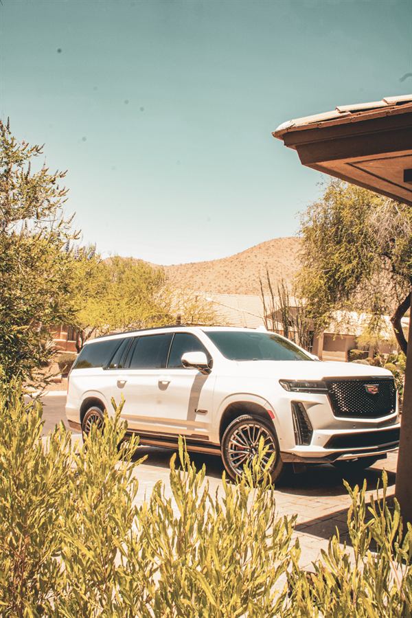 White Cadillac Escalade-V parked in a desert driveway